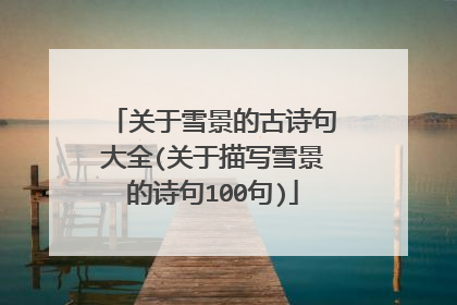 关于雪景的古诗句大全(关于描写雪景的诗句100句)