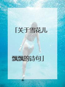 关于雪花儿飘飘的诗句