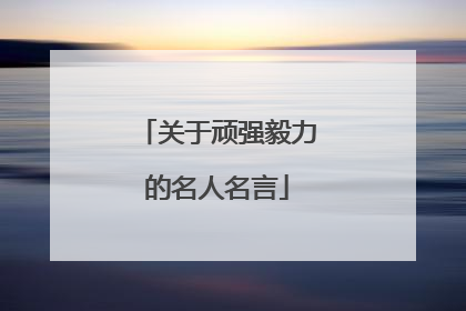 关于顽强毅力的名人名言