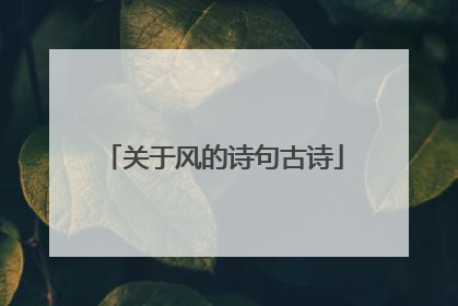 关于风的诗句古诗