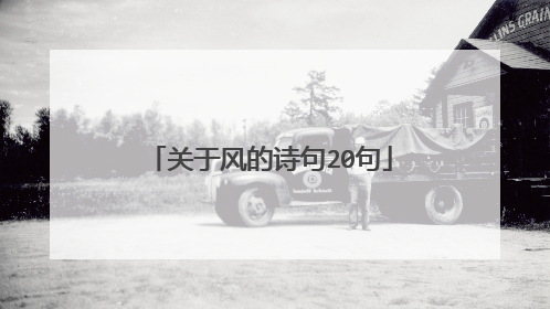 关于风的诗句20句