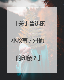 关于鲁迅的小故事？对他的印象？