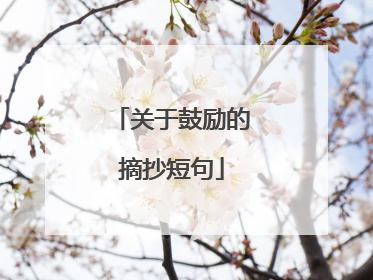 关于鼓励的摘抄短句