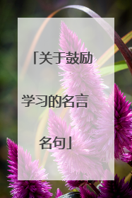 关于鼓励学习的名言名句