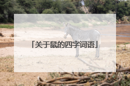 关于鼠的四字词语