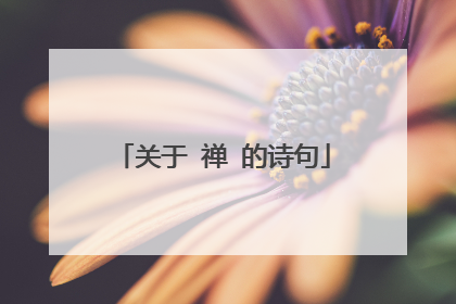 关于 禅 的诗句
