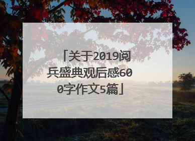 关于2019阅兵盛典观后感600字作文5篇