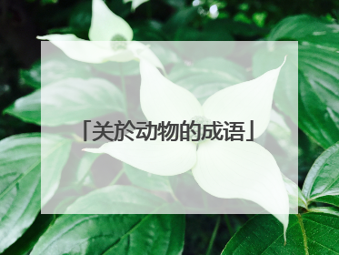 关於动物的成语