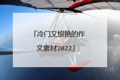 冷门又惊艳的作文素材2022