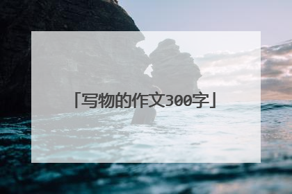 写物的作文300字