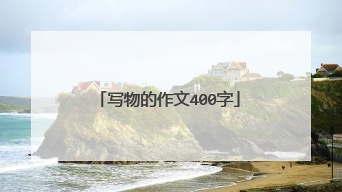 写物的作文400字