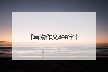 写物作文400字