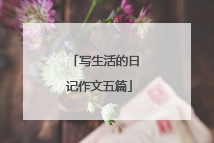 写生活的日记作文五篇