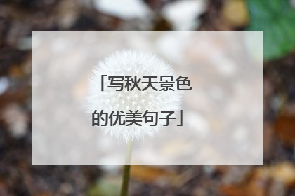 写秋天景色的优美句子