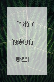 写竹子的诗句有哪些