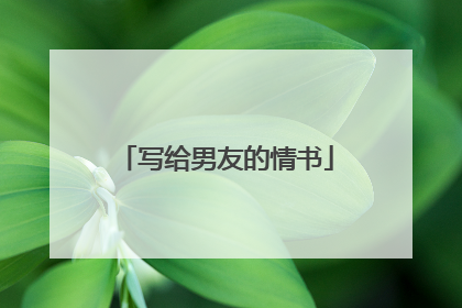 写给男友的情书