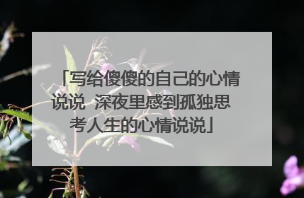 写给傻傻的自己的心情说说 深夜里感到孤独思考人生的心情说说