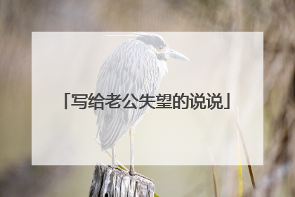 写给老公失望的说说