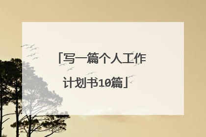 写一篇个人工作计划书10篇