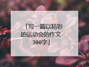 写一篇以精彩的运动会的作文300字