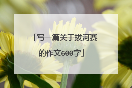 写一篇关于拔河赛的作文600字