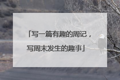写一篇有趣的周记，写周末发生的趣事