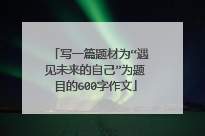 写一篇题材为“遇见未来的自己”为题目的600字作文