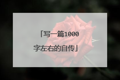 写一篇1000字左右的自传