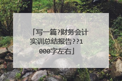 写一篇?财务会计实训总结报告??1000字左右