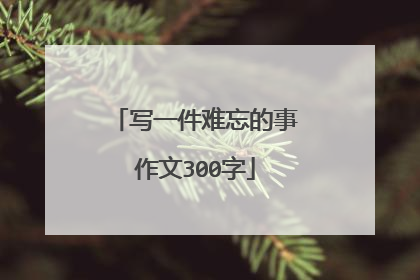 写一件难忘的事作文300字