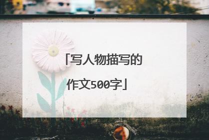写人物描写的作文500字