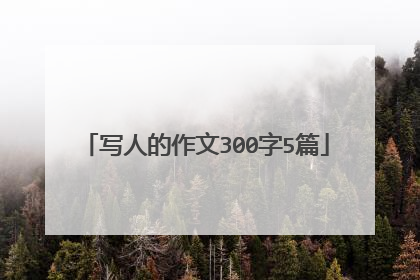 写人的作文300字5篇