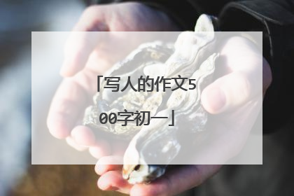 写人的作文500字初一