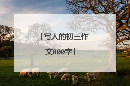 写人的初三作文800字