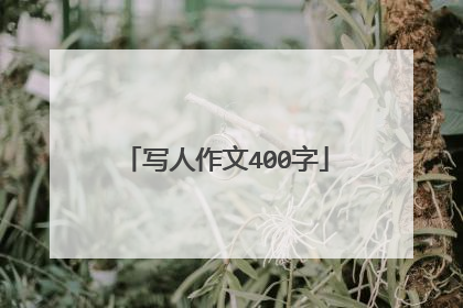 写人作文400字