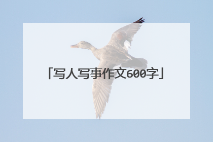 写人写事作文600字