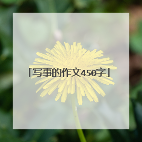 写事的作文450字