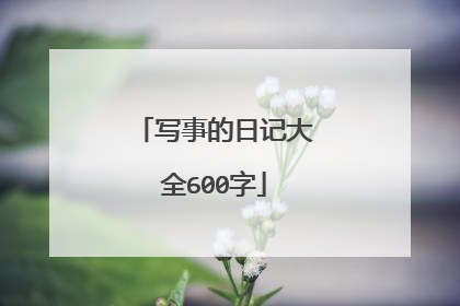 写事的日记大全600字