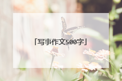 写事作文500字