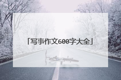 写事作文600字大全