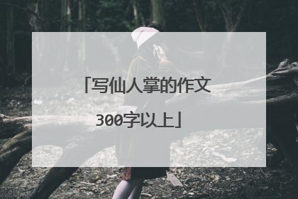 写仙人掌的作文300字以上