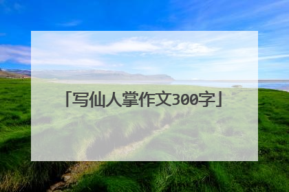 写仙人掌作文300字