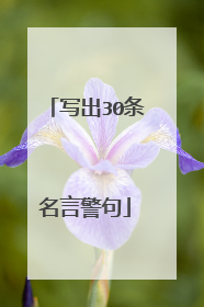 写出30条名言警句
