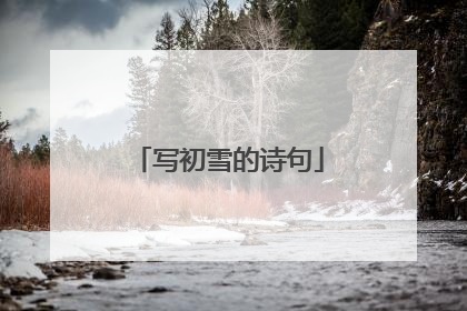 写初雪的诗句