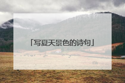 写夏天景色的诗句