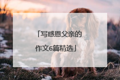写感恩父亲的作文6篇精选