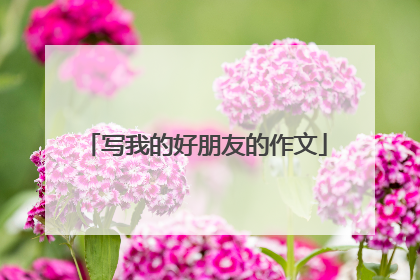 写我的好朋友的作文