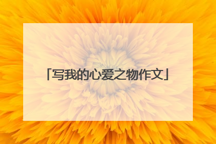 写我的心爱之物作文