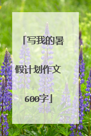 写我的暑假计划作文600字