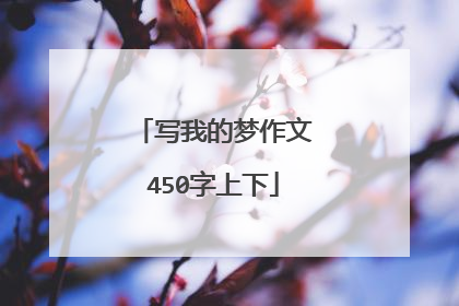 写我的梦作文450字上下